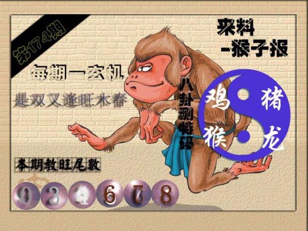 财神🐒来报