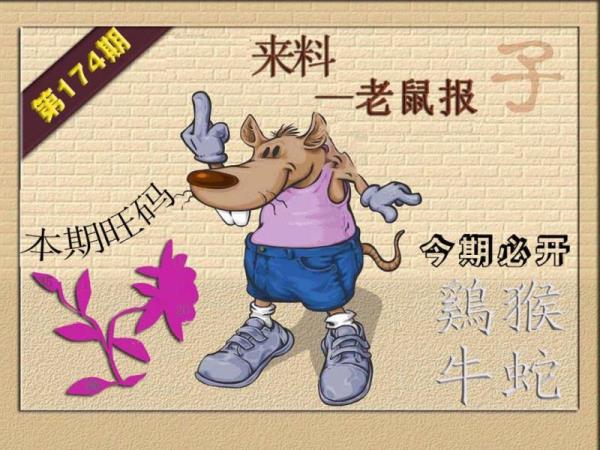 财神🐭来报