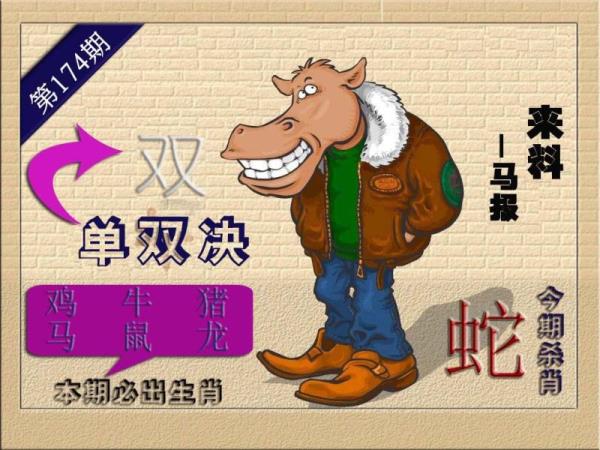 财神🐎来报
