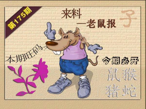 财神🐭来报