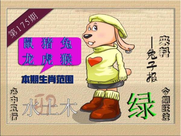 财神🐇来报