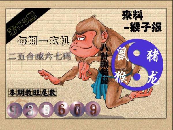 财神🐒来报