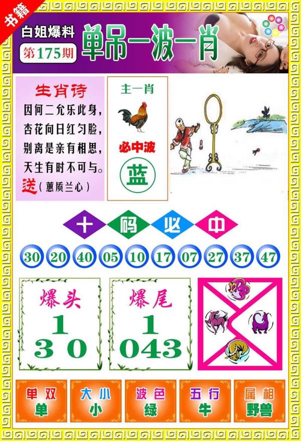 白姐爆料